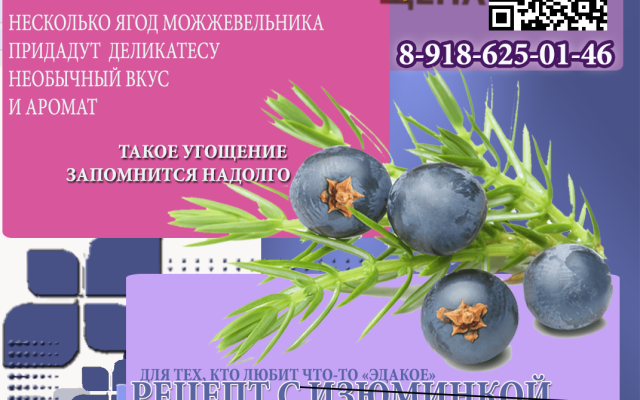 ЩЕПА + МОЖЖЕВЕЛЬНИК